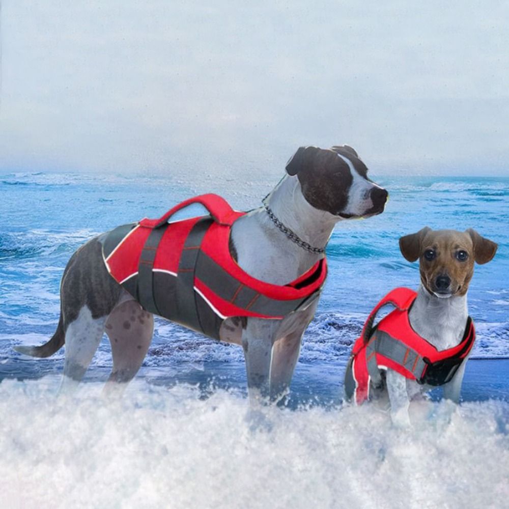 Chaleco Salvavidas Reflectante - Life Jacket Buoyancy reseña y precio